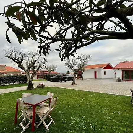 Penedo Village Marco de Canavezes Esterno foto