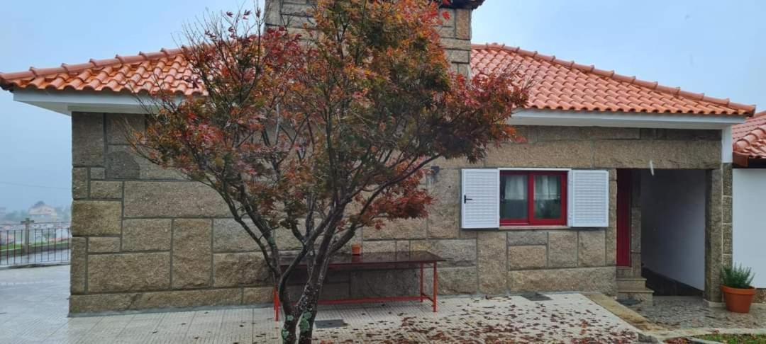 Penedo Village Holiday home Marco de Canaveses
